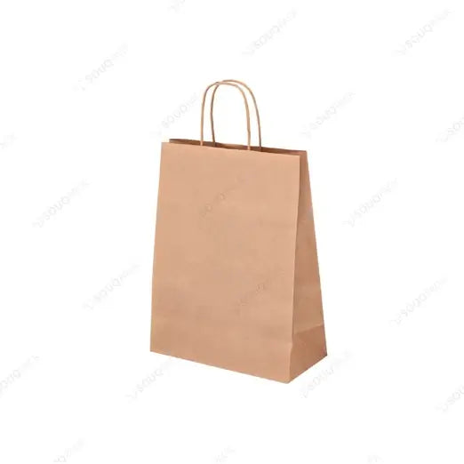 Brown kraft paper bag with handle on a white background